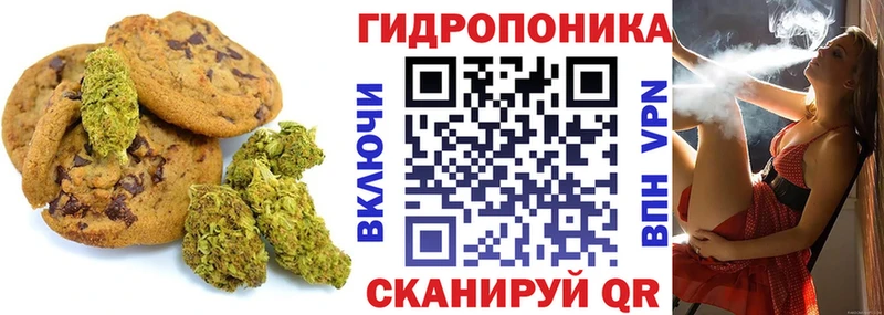 OMG онион  наркота  Новошахтинск  Печенье с ТГК марихуана 