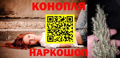 a pvp Камышлов