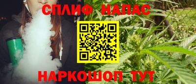 a pvp Камышлов