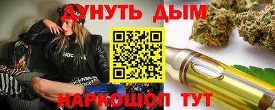 a pvp Камышлов