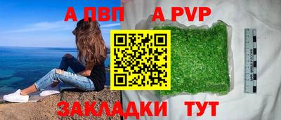 a pvp Камышлов