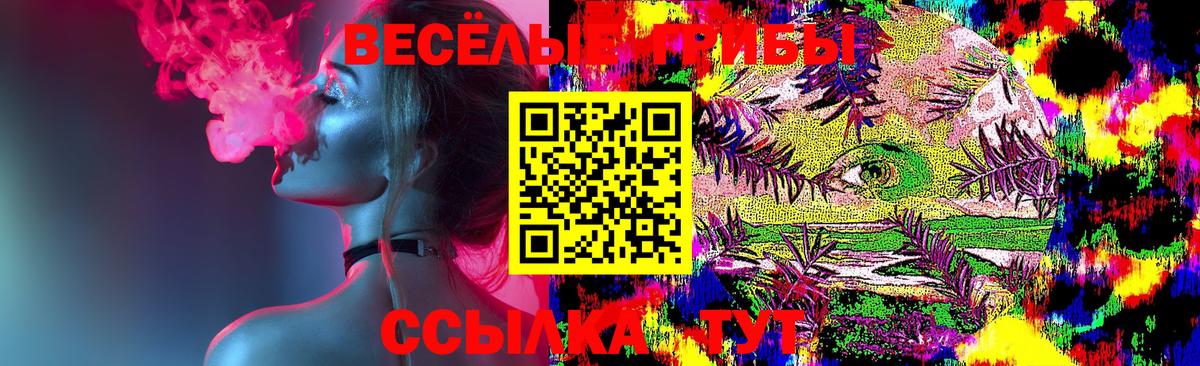 Галлюциногенные грибы GOLDEN TEACHER Новошахтинск
