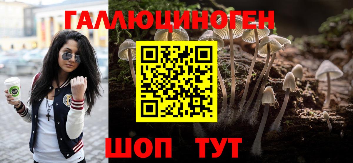 цены   Вход с VPN  Новошахтинск  Псилоцибиновые грибы мицелий 