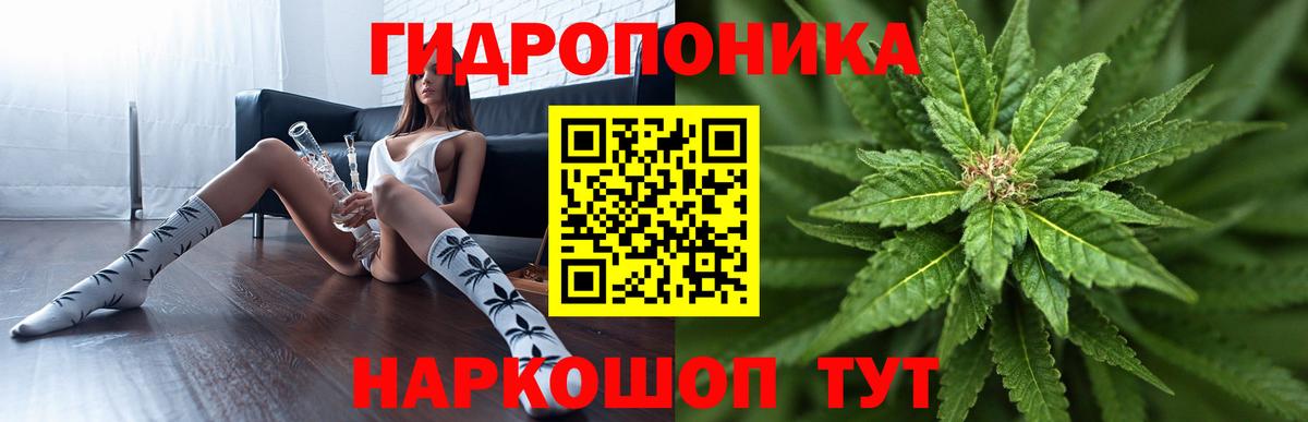 Шишки марихуана ГИДРОПОН Новошахтинск